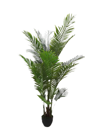 Potted Palm Fresh touch 170 cm