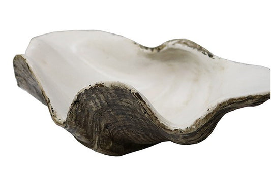 Resin Clam Shell sm