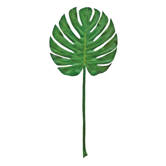 Giant Philodendron Leaf