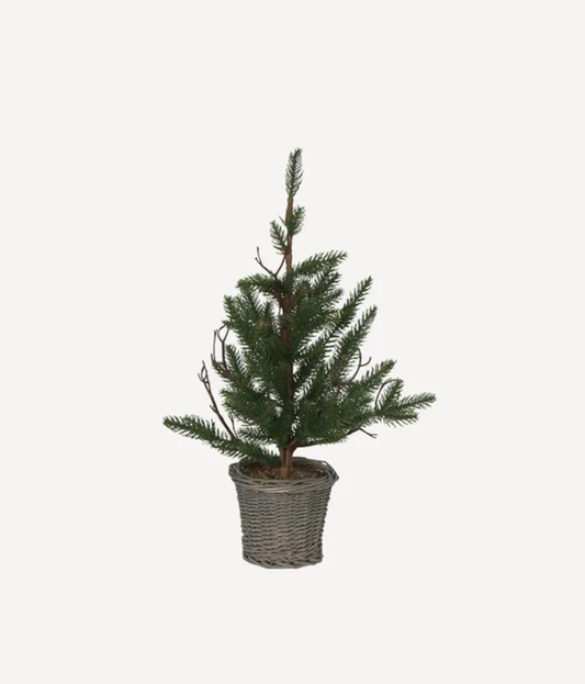 Pine Tree with Rattan Basket - Extra Small