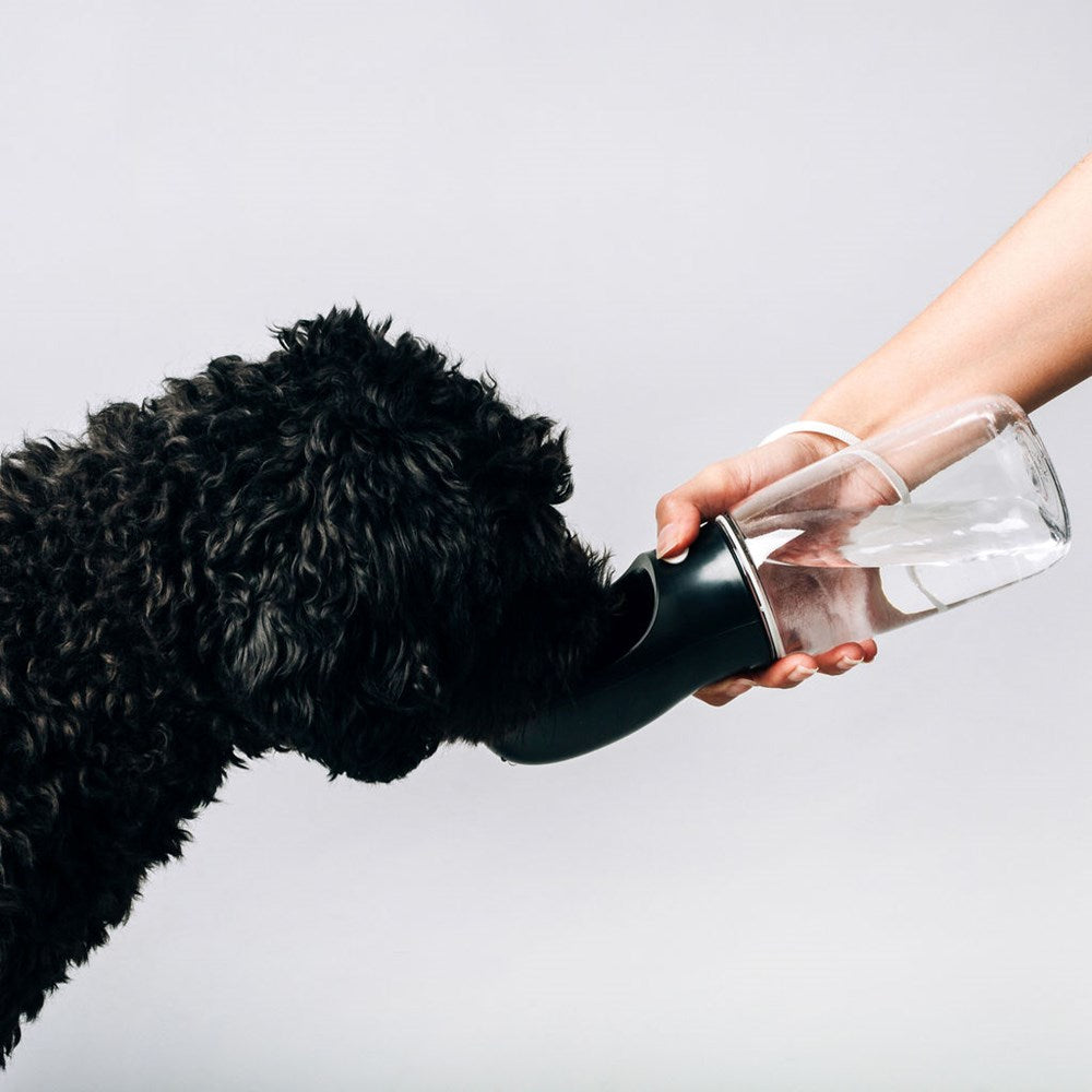 Thirsty Dog Bottle Black