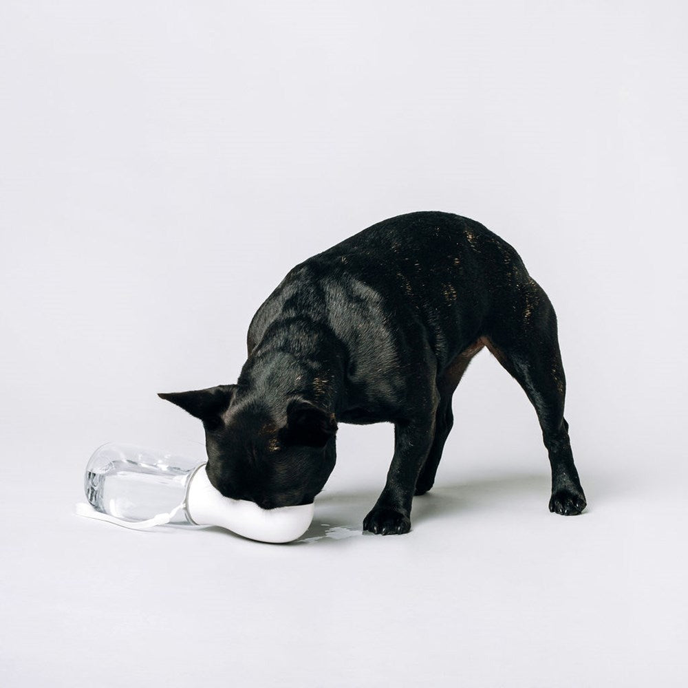 Thirsty Dog Bottle White