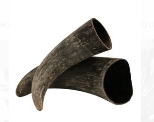 Natural Horn 28cm