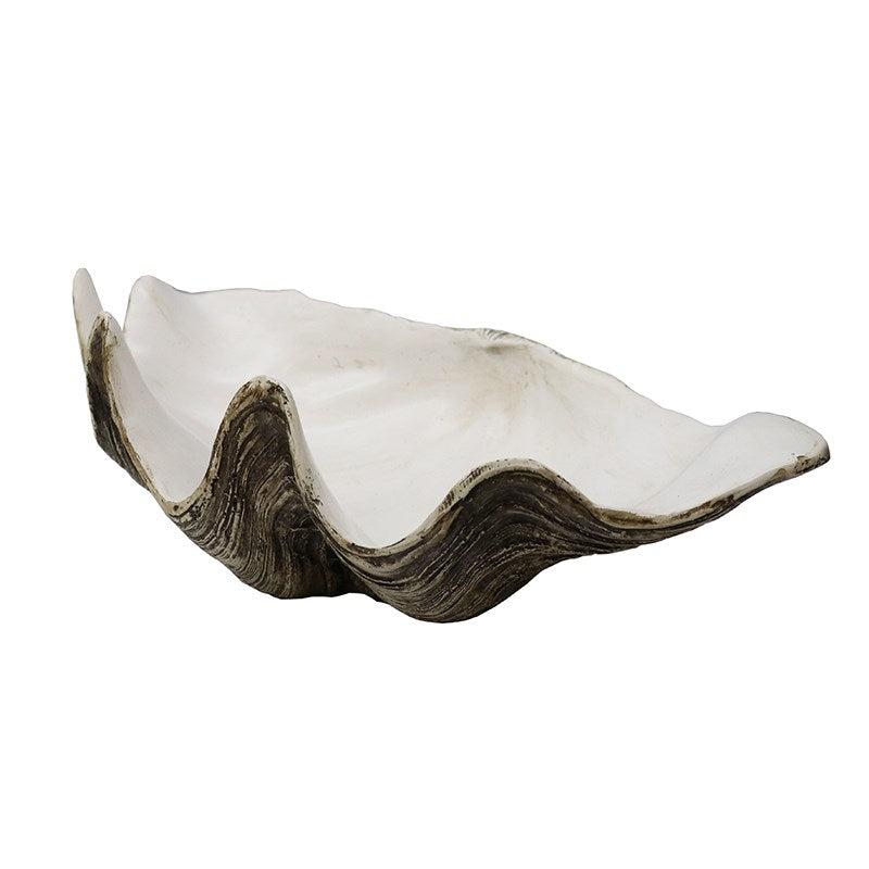 Resin Clam Shell X Large