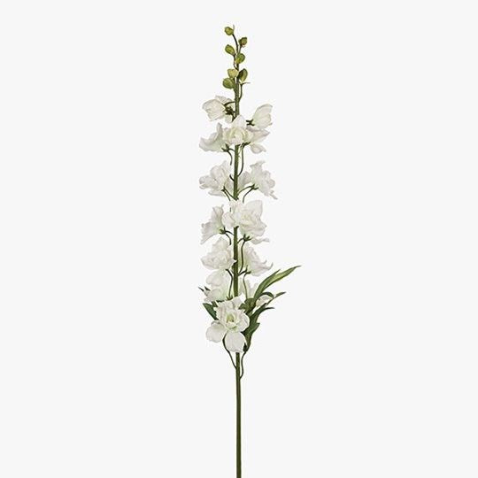 Delphinium White 90cm
