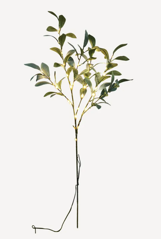 Olive Branch Light Large