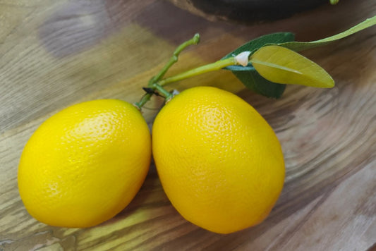 Meyer Lemon Large